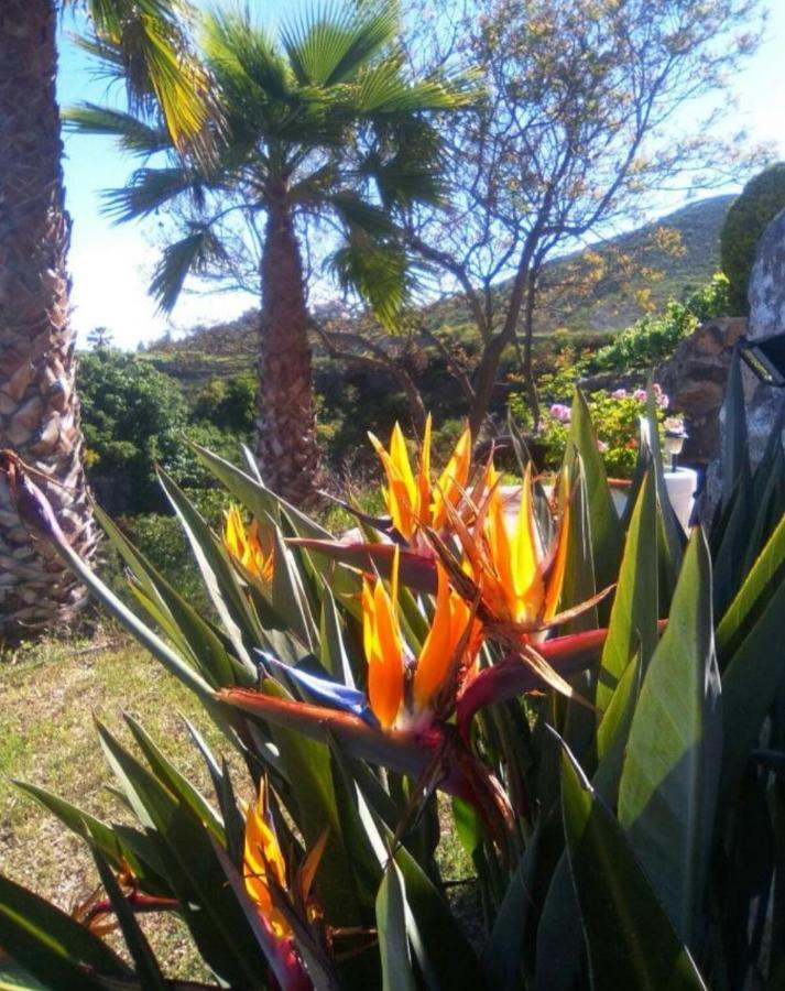 סנטה קרוז דה טנריף La Casita Ma Petite Folie Tenerife מראה חיצוני תמונה