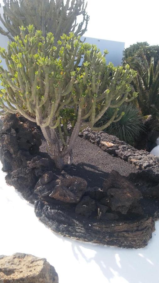 סנטה קרוז דה טנריף La Casita Ma Petite Folie Tenerife מראה חיצוני תמונה